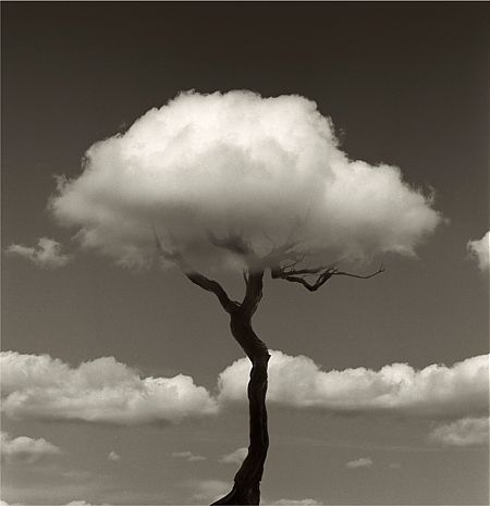 Œuvre de Chema Madoz, artiste