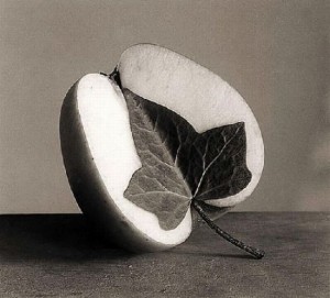 Œuvre de Chema Madoz, artiste