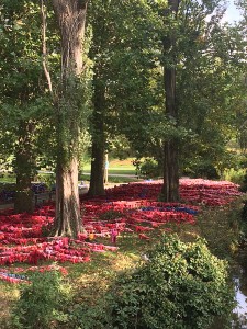 Les hortillonnages d'Amiens - ©Chantal Cazzadori