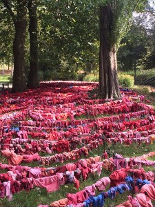 Les hortillonnages d'Amiens - ©Chantal Cazzadori