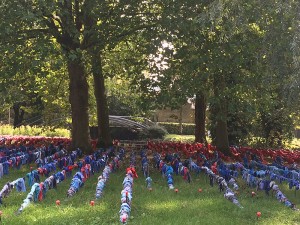 Les hortillonnages d'Amiens - ©Chantal Cazzadori