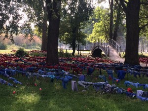 Les hortillonnages d'Amiens - ©Chantal Cazzadori