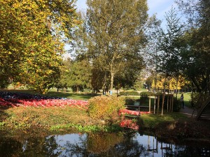 Les hortillonnages d'Amiens - ©Chantal Cazzadori