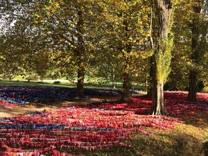 Les hortillonnages d'Amiens - ©Chantal Cazzadori