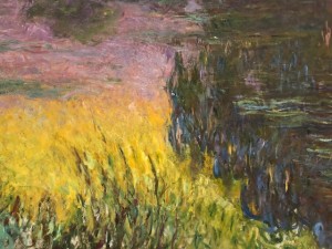 Musée de l’Orangerie à Paris - Les Nymphéas de Claude Monet 