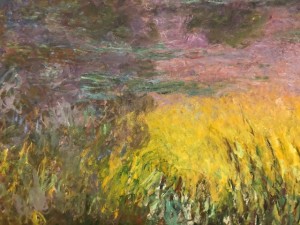 Musée de l’Orangerie à Paris - Les Nymphéas de Claude Monet 