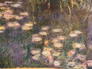 Musée de l’Orangerie à Paris - Les Nymphéas de Claude Monet 