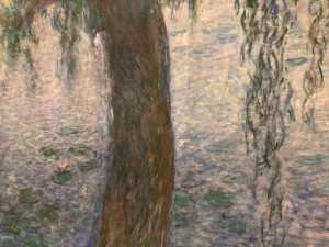 Musée de l’Orangerie à Paris - Les Nymphéas de Claude Monet 