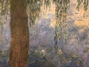 Musée de l’Orangerie à Paris - Les Nymphéas de Claude Monet 