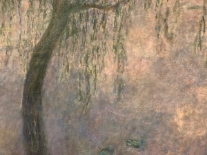 Musée de l’Orangerie à Paris - Les Nymphéas de Claude Monet 