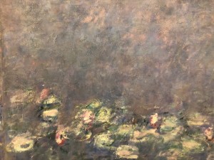 Musée de l’Orangerie à Paris - Les Nymphéas de Claude Monet 