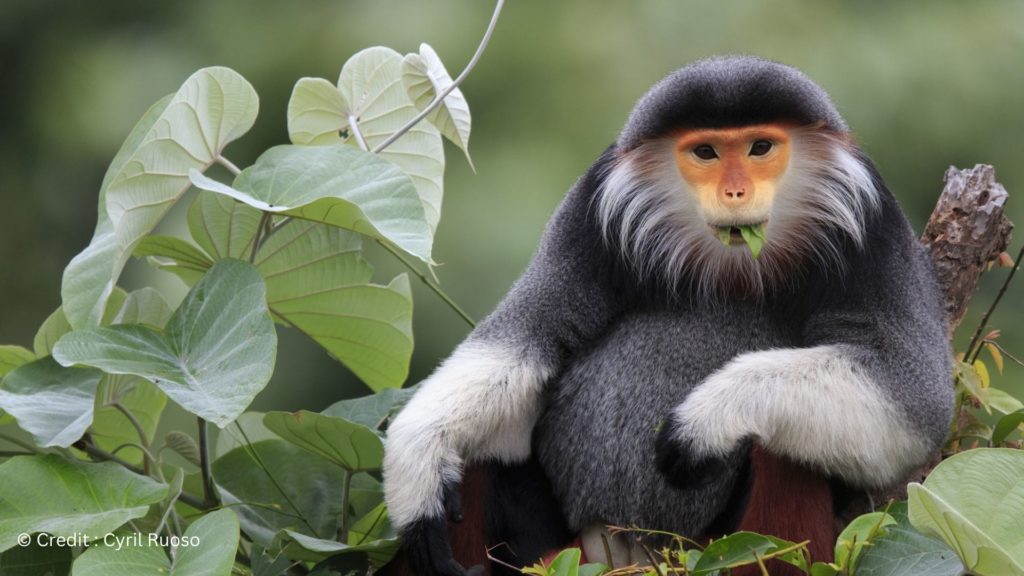 autorite-du-maitre-autorite-du-numerique-1