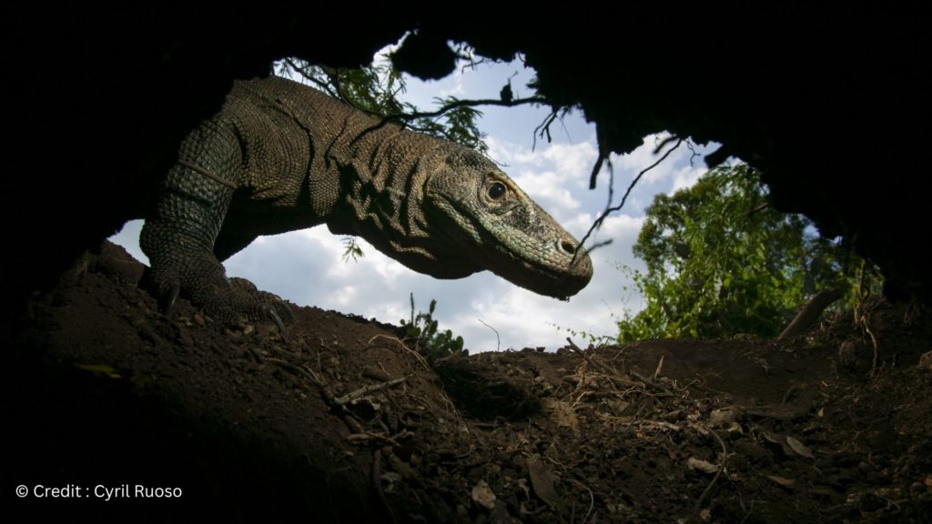 autorite-du-maitre-autorite-du-numerique-1